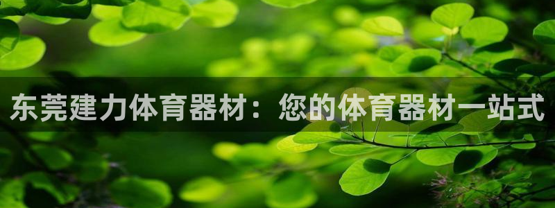 杏宇娱乐可以玩吗