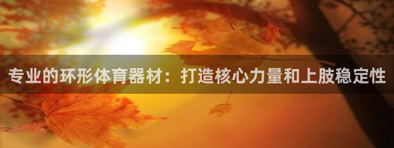 杏宇平台地址：专业的环形体育器材：打造核心力量和上肢